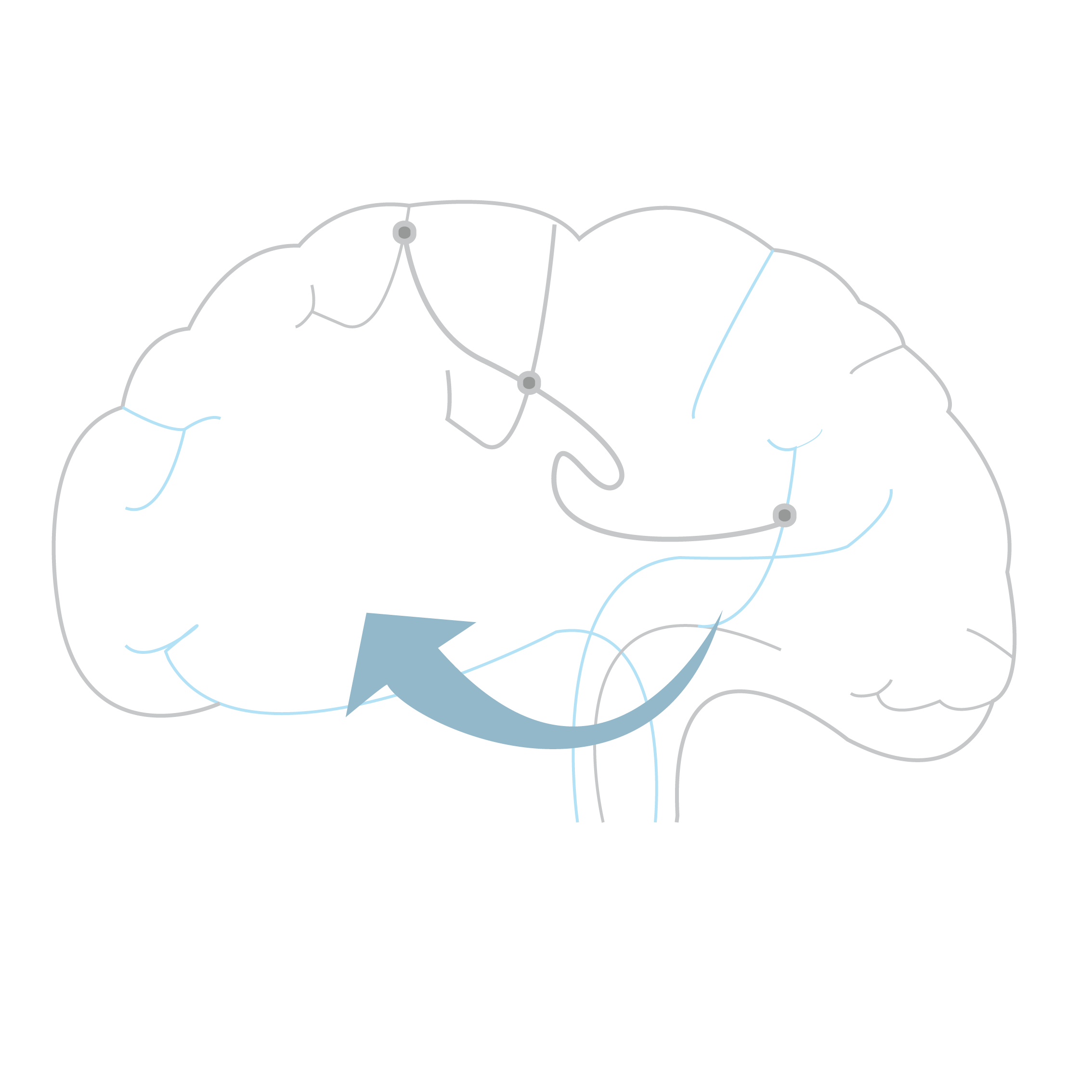 Wie lernt das Gehirn